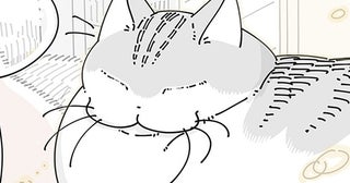 「もう朝か」目覚めても、隣で寝ていたネコのうとうとする様子につられてしまい