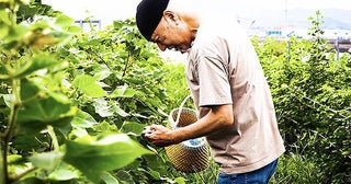 【佐々木俊尚コラム：ドキュメンタリーの時代】「わたのまち、応答セヨ」