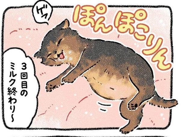 「うわっ、汚ッ」ズブ濡れの子猫をゴミと勘違い…？愛犬がみぞれの夜に連れ帰った“生後3週間の命”に感涙【作者に聞く】