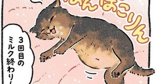 「うわっ、汚ッ」ズブ濡れの子猫をゴミと勘違い…？愛犬がみぞれの夜に連れ帰った“生後3週間の命”に感涙【作者に聞く】