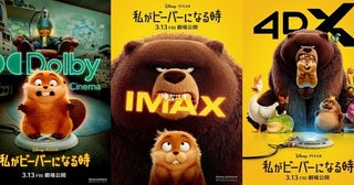 『私がビーバーになる時』IMAXほか全8バージョンの上映形式決定！メイベルと森の動物たちの姿を収めた特別版ポスターもお披露目