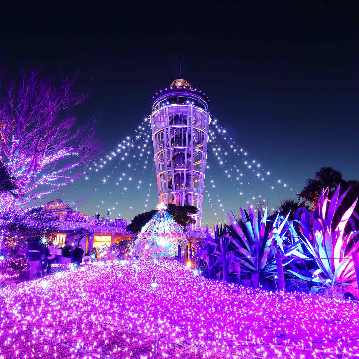 江の島・片瀬海岸エリアのイルミネーション「湘南の宝石」。光の大空間と富士山のシルエットの感動的な共演も！