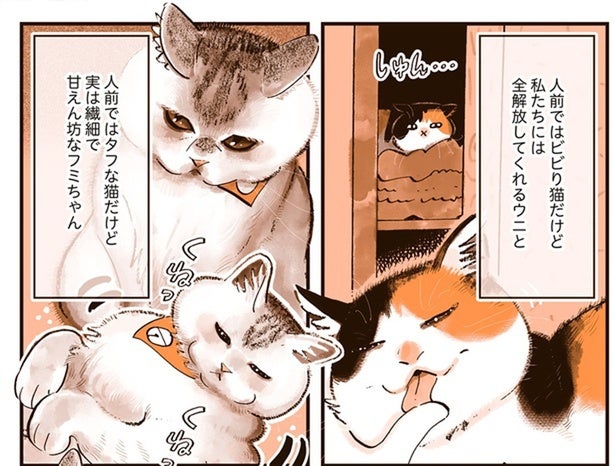 飼い主だけの特権！ お客さんが帰ったあとに見られる、うちの猫たちのかわいい姿