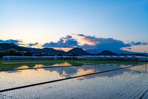 夫が定年後に「地方移住」をしたいと言い出しました。年金と貯蓄「2000万円」だけで、地方での生活は現実的に成り立つのでしょうか？