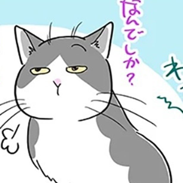 【ねこ漫画】人間の食べ物を点検したがる猫が大パニック!!「そこは盲点だったか…！」何もない場所で飛び上がる【作者に聞く】