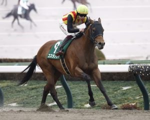 ＜フェブラリーS＞コスタノヴァ、ダブルハートボンドらに「絶望的データ」…“3強総崩れ”危機が直撃