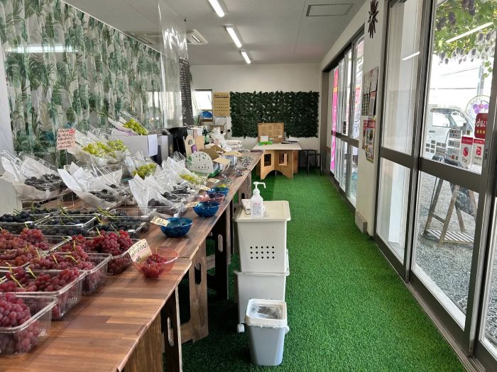 大阪・柏原市に「試食しないと買えない」ぶどう直売所が7月3日オープン味を確かめてから選ぶ直売体験を提案