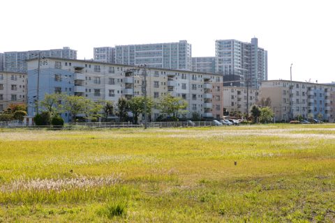 都営住宅に住む母から同居をすすめられて、迷っています。家賃は抑えられる一方で退去のリスクもあると聞きます。無申告はさすがに避けた方がいいのでしょうか？