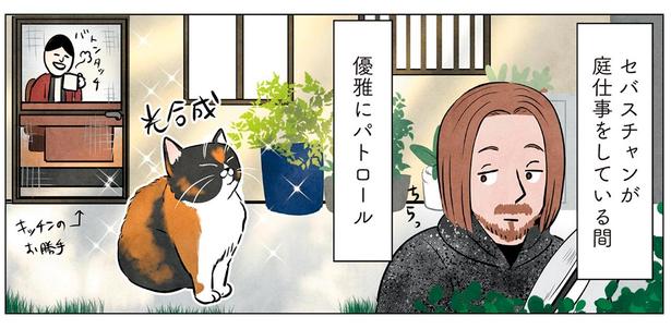 まずはお庭をパトロール。マダム猫の散歩コース