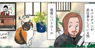 まずはお庭をパトロール。マダム猫の散歩コース