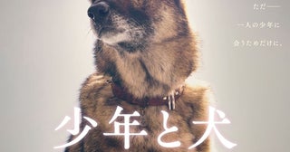 高橋文哉＆西野七瀬W主演『少年と犬』1匹の犬の“奇跡の旅”に迫る特報＆ビジュアル