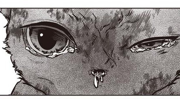 「生きたい」。心の病に苦しむ男性が受け取った、瀕死の子猫の叫び／スローステップ朔太郎 上（4）
