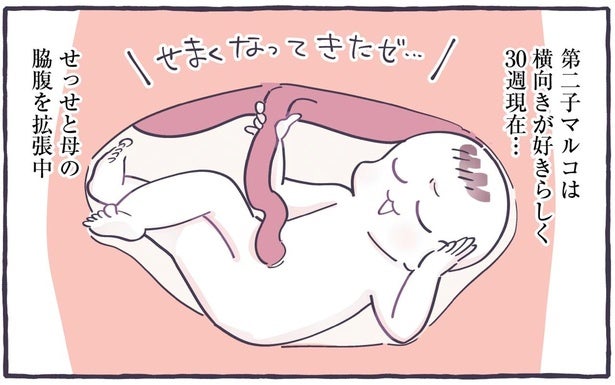 横向きがお好き？生まれる前から個性が出ている第二子