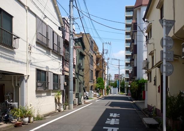 コーヒーで旅する日本／関東編｜豆選びは生産者を深く知ることから。清澄白河で焙く、飲み手につながる一杯「First Crop Coffee Roastery」