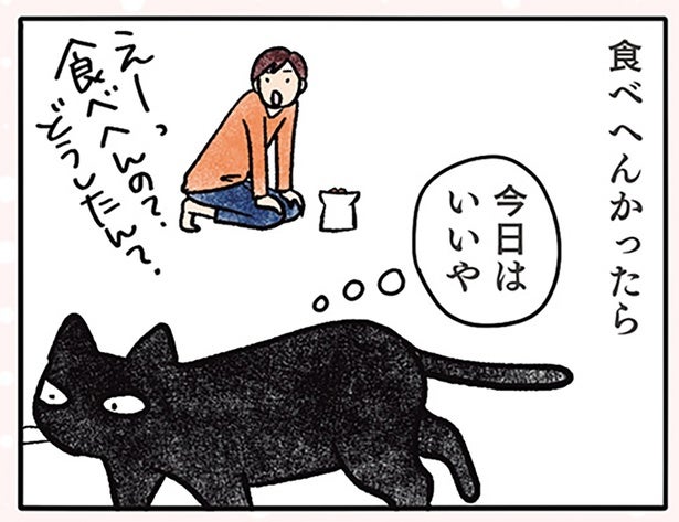 同じカリカリに飽きた猫。意図的に食べずにいたら、新しいごはんが出てきて？