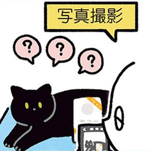 飼い主さんあるある？黒猫ろんと記念撮影をするタイミング