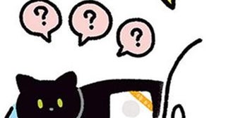 飼い主さんあるある？黒猫ろんと記念撮影をするタイミング