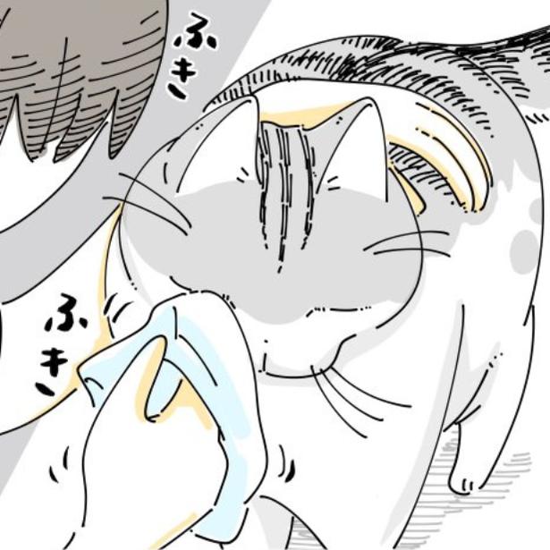 【ネコ漫画】飼い主に目やにを取ってもらう愛猫!?その姿に「めっちゃわかります！」など共感コメント多数