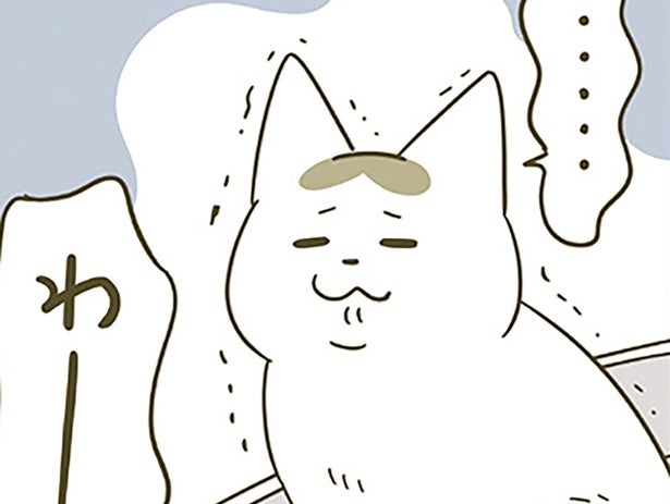 反省!! 季節の変わり目、暖房を入れるか迷った日の猫たちの変化