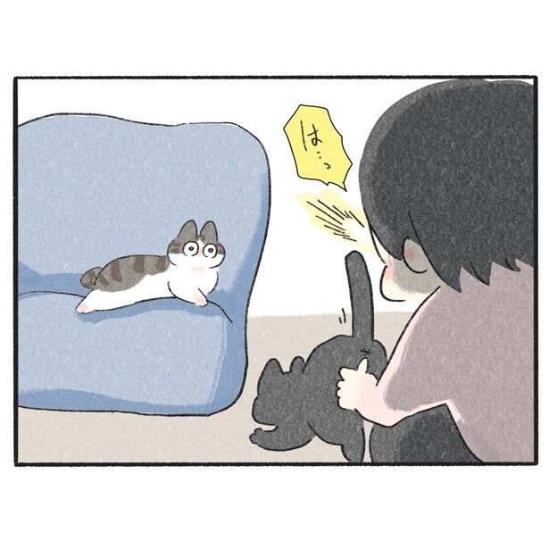 【ネコ漫画】兄猫へのなでなで攻撃に弟猫の反応は？2匹の飼い猫との愛にあふれた暮らしに「うちも同じ」と共感の声【作者に聞く】