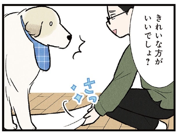 「タオルにさわるな！」こだわりの強い大型犬が猛アピール!?