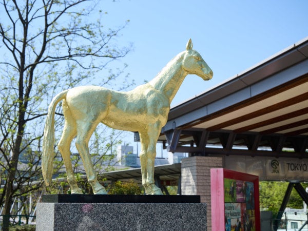 週末ウマ活、はじめます。アラサー女子が初めての競馬場で見つけた“馬の魅力”