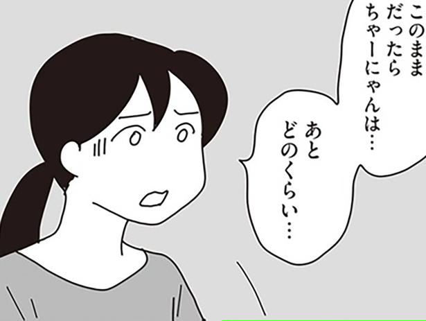 愛猫のために選んだガン治療。それでも余命宣告は重いもので／世界一幸せな飼い主にしてくれた猫（11）