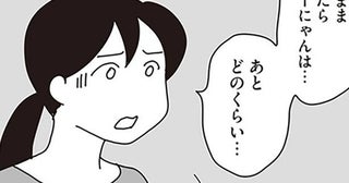 愛猫のために選んだガン治療。それでも余命宣告は重いもので／世界一幸せな飼い主にしてくれた猫（11）