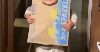 「ジブリのワンシーンかと思ったｗ」段ボールを使って変わった遊びをしている男の子がかわいすぎ