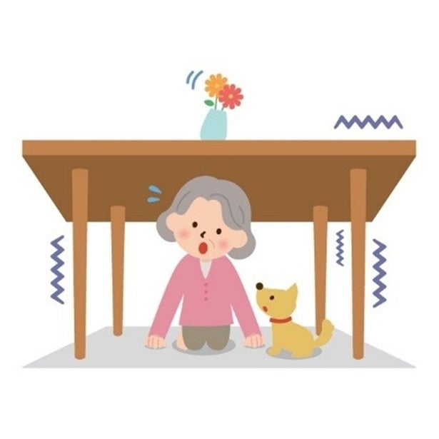  もしもの災害、あなたのペットは大丈夫？“備え”をしていない飼い主が6割超え、犬猫の防災準備の実態が明らかに