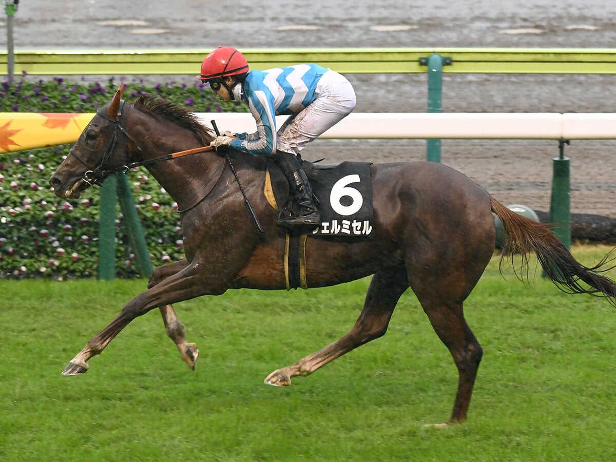 【競馬予想】エリザベス女王杯は人気薄馬の血統も要チェック本命の有馬記念馬レガレイラに対抗しそうな２頭は？