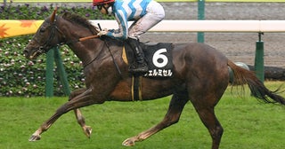 【競馬予想】エリザベス女王杯は人気薄馬の血統も要チェック本命の有馬記念馬レガレイラに対抗しそうな２頭は？