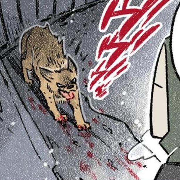 「吠えるし噛むし…」殺処分寸前の犬は血だらけで威嚇していた！でも、人間に捨てられた犬の「甘えたい」という本当の気持ち【作者に聞く】