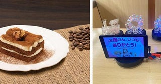 【くら寿司】「彩りフルーツケーキ」が3日間限定で半額に！贅沢な"生ティラミス"も見逃せない。