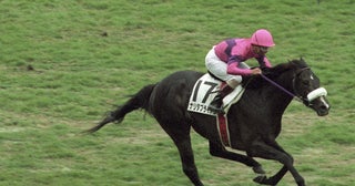 『ウマ娘』でも周囲から畏怖されるほどの強さを見せるナリタブライアンが「怪物」ぶりを発揮した５馬身差の圧勝劇