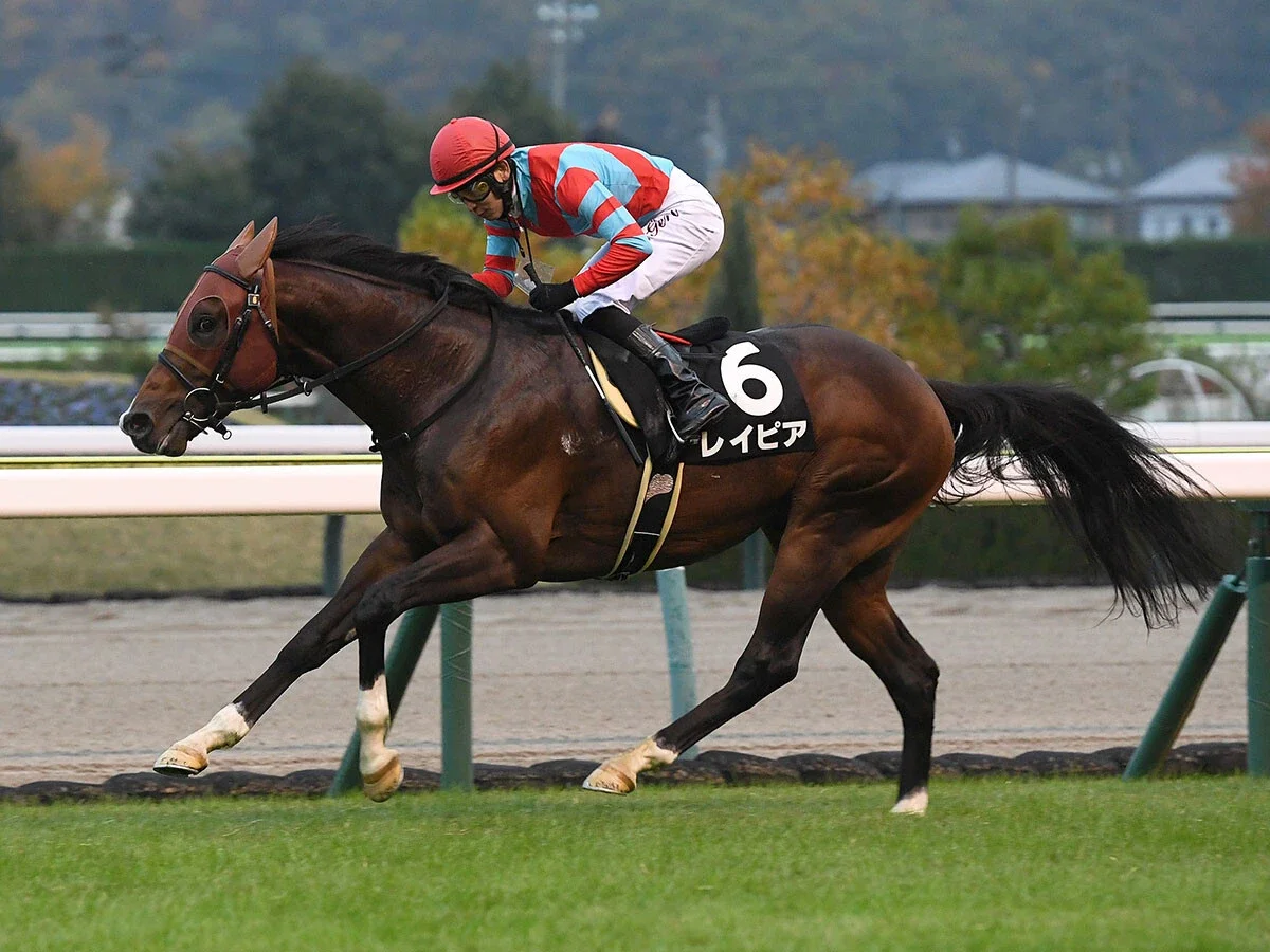 【競馬予想】秋のＧⅠ開幕戦、スプリンターズＳで注目の血統は？本命は多くのスプリンターの血を引く４歳馬