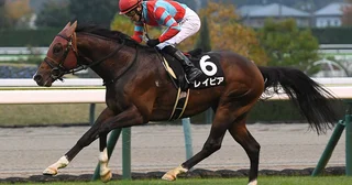 【競馬予想】秋のＧⅠ開幕戦、スプリンターズＳで注目の血統は？本命は多くのスプリンターの血を引く４歳馬