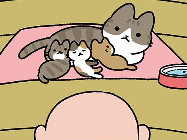 【ねこのとんち話】意地悪、じゃない!? 桔梗屋さんの粋なはからい