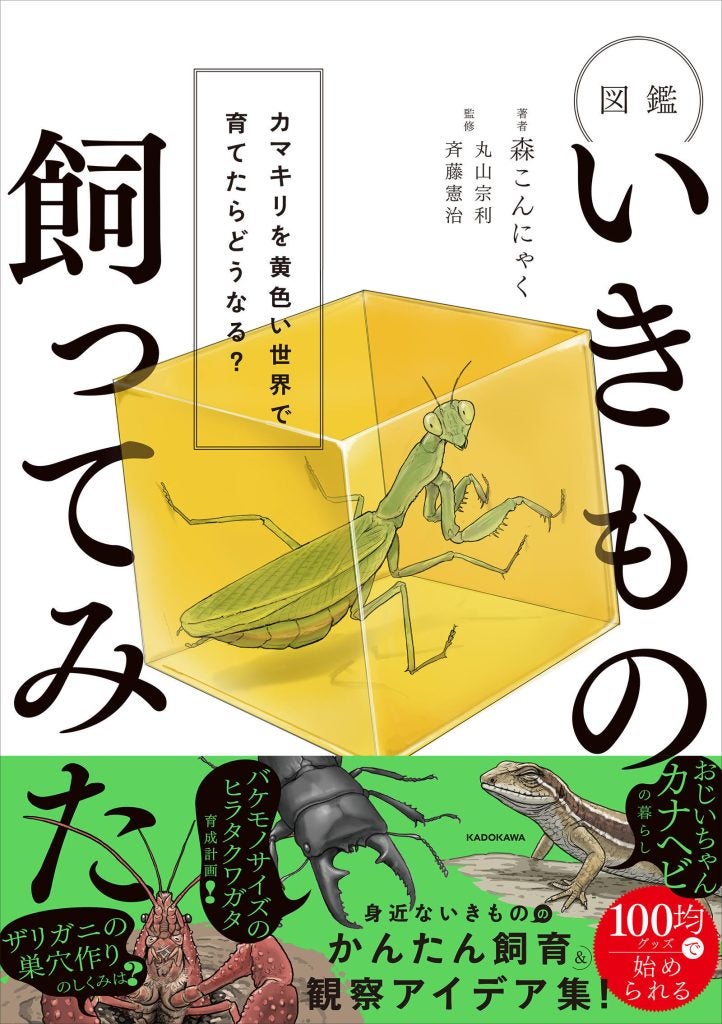 カマキリを黄色い世界で育てたらいきもの観察の世界