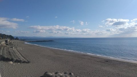 「高知＝カツオ」のイメージが強いけど、実際は「直売所の激安野菜」「魚屋で格安鮮魚」「いただきものジビエ」を“都会より安く”食べられ最高!? 移住して分かった「高知の食」のリアル
