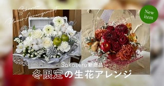 お祝い花販売プラットフォームSakaseruの人気アレンジに冬限定カラー登場！新商品も