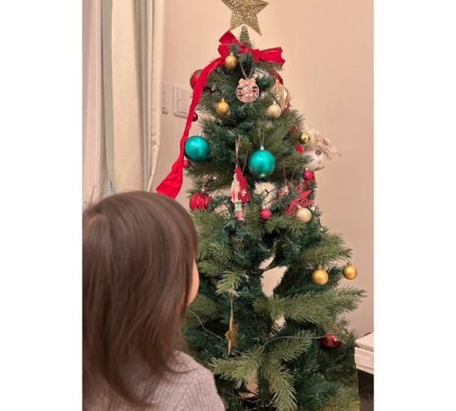  安めぐみ、10歳長女＆１歳次女“クリスマス気分”な姿公開 