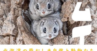 北海道の動物たちのかわいいだけではない姿を映し出す人気写真家の最新作『カムイ』
