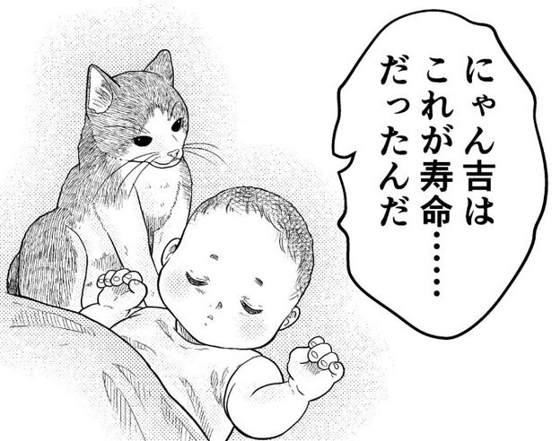 苦しむ愛猫「救急車呼んで！」→“救えない命”を知った少年の20年後…熱きER獣医の誕生秘話に「胸が熱くなる」【作者に聞く】