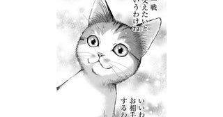 「いいわ、お相手するわよ」猫嫌いの男性に出会って嬉しがる子猫の話／猫語の教科書（4）