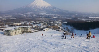 外国人観光客をターゲットに広がる北海道・ニセコ薬物汚染の現実