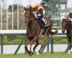 ＜スプリンターズS＞ルメール騎乗でもスターアニスは危険な人気馬？「G1・26連敗」の“不吉なジンクス”