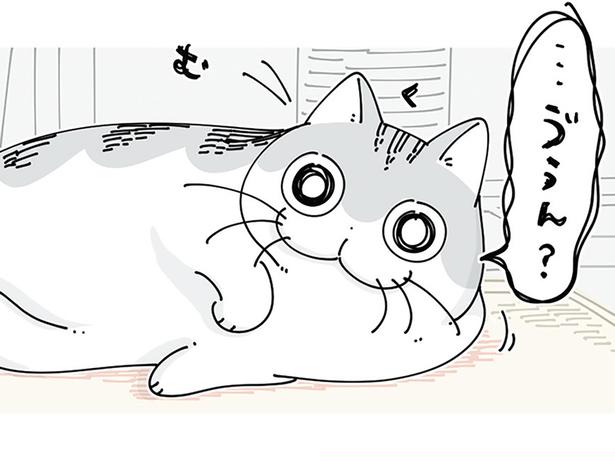 広がって眠る、ホットカーペットの上のネコ。目が合うと寄ってきてくれて