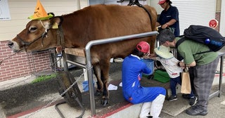 親子で一緒に食の現場を理解雪印メグミルク、ライフが食育を推進する催し