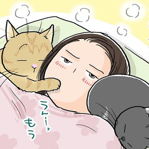 【飼い猫からの圧】「どうにかしてコイツを起こすのだ」猫たちの睡眠妨害がこざかしくてかわいい【作者に聞いた】